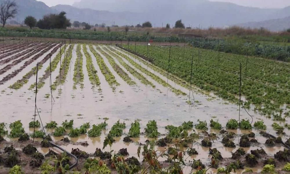 Δυτική Ελλάδα: Έρχεται η ώρα των αποζημιώσεων από τις πρόσφατες καταστροφές